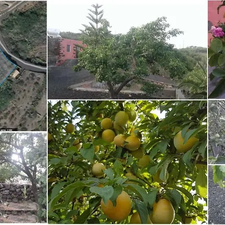 別荘 Casa De Campo En El Hierro *